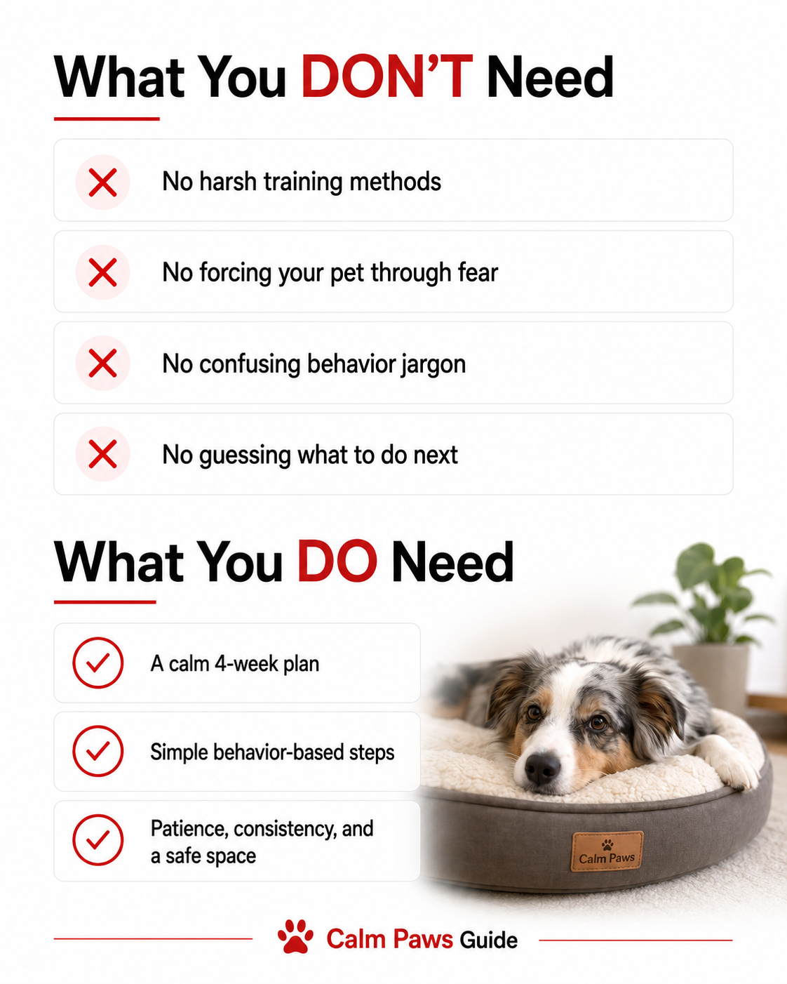 Calm Paws Guide